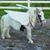 Joan Swanigan's profile image