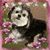 Rebecca Parker's profile image