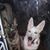 Mandy Puterbaugh's profile image