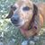 Lynn Fonder's profile image