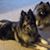 Nancy Kirkwood's profile image
