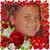 Shelley Stukas's profile image