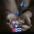 Grisy Perez's profile image