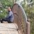 Ratan Khatik's profile image