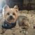 Barbara Woosley's profile image
