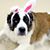 Katy Wittrock's profile image