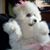 Kathryn Carlson's profile image