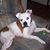 Deborah Adkins's profile image
