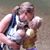 Sarah Katharine Steidinger's profile image