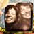 Vicki Erney's profile image