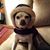 Mike Hafer's profile image