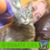Trina Romeyn's profile image