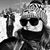 Janine Mincks's profile image