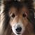 Dan Ranich's profile image