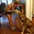 Midge Marie's profile image