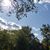 Shannon Bockmiller-Booms's profile image