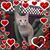 Katey Allan King's profile image