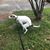 Debbie Grosinski's profile image