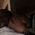 Leonard DeJuan Joiner's profile image