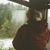 Lizz Astor's profile image