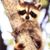Byron Grohman's profile image