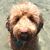 Tony Cisek's profile image