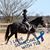 Laura Golden-Luedeke's profile image