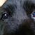 Lisa Danette's profile image