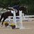 Sandy Suttles's profile image