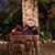 Bridene Fish's profile image