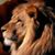 Glez S. Silvia Glez's profile image