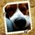 Angela Newton's profile image