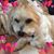 Patti Wetzel's profile image