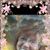 Sue Beddes's profile image