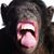 Mike Orozco's profile image