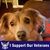 Shirley Clendennen's profile image