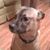 Steve Salhoff's profile image