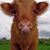 Amy Marie Medina's profile image