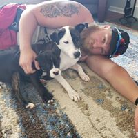 Mike Greguski's profile image