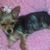 Trina Quidley's profile image