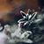 Michael Shaffer's profile image