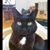 Jennifer Padgett's profile image