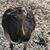 Scott Thresher's profile image