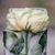 Maribel Ramos Quinones's profile image