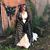 Brenda Hackett's profile image
