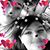 Lourdes Lucio's profile image