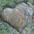 Robert Litzinger's profile image