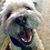 David Olson's profile image