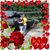 S Cresy Watson Pendley's profile image