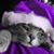 Antonette Maria Carbone's profile image